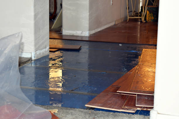 Professional Burst Pipe Cleanup technician working in Ridgewood, NJ